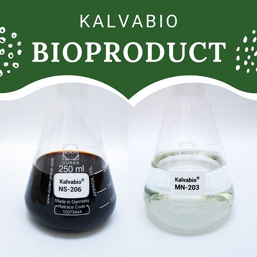 kontraktor wtp, ipal, stp, wwtp