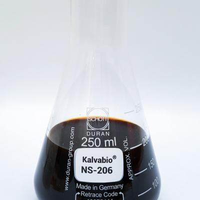 Kalvabio Ns 206 Erlenmeyer